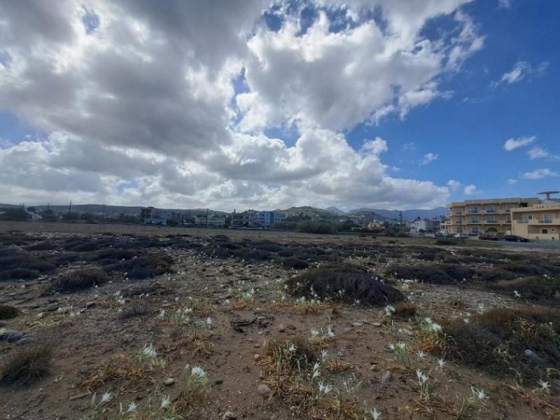 Kissamos Kreta, Kissamos: Großes Grundstück direkt am Meer zu verkaufen Grundstück kaufen